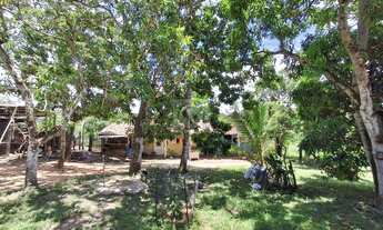 Imagem 5: Sítio Para Venda no Povoado Carlos Torres, Salgado, Sergipe