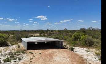 Imagem 3: ARINOS MINAS GERAIS FAZENDA PRONTA PARA PRODUÇÃO COM ALTO POTENCIAL