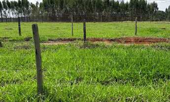 Imagem 3: Chácara região metropolitana Goiania bonfinópolis 60 mil