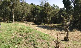 Imagem 2: Chácara em São José dos Pinhais