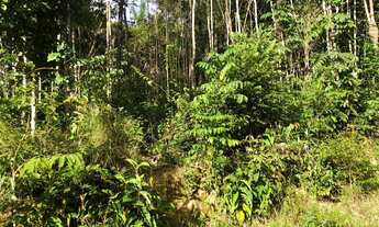 Imagem: Vende-se lote em Manaus