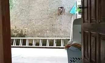 Imagem 6: Casa à venda, Parque Fleixal, Guapimirim, RJ