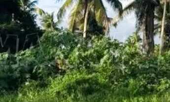 Imagem 4: Terreno de 6.000m² para alugar na Barra dos Coqueiros, Sergipe