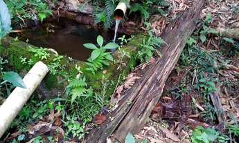 Imagem 2: Vendo sitio Chácara com venda por R$300.000