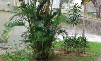 Imagem 6: ALUGUEL de apartamento térreo de dois quartos com 43 m2 no Lins