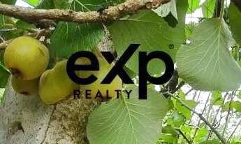 Imagem 2: OTIMA CASA DE CAMPO QUITANDINHA