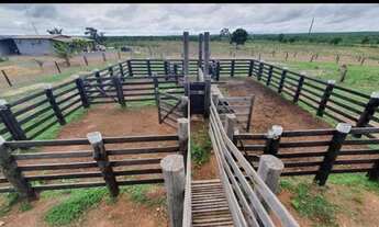 Imagem 6: SÍTIO 40 HECTARES