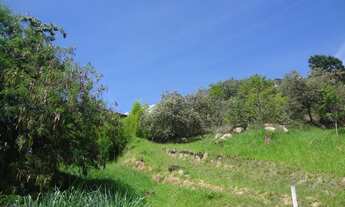 Imagem 3: Terreno - Colinas do Ermitage - Campinas