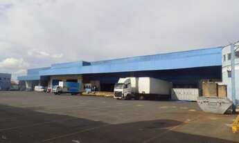 Imagem 6: Galpão - Nova Veneza - Sumaré