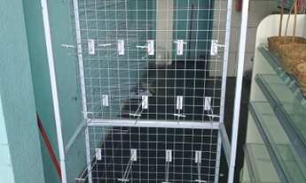 Imagem 3: Display de Metal