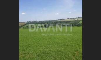 Imagem 3: área - Centro - Holambra