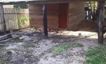 Imagem 3: Vendo uma chácara