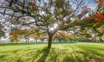 Imagem 7: Terreno - Haras Patente - Monte Alegre do Sul