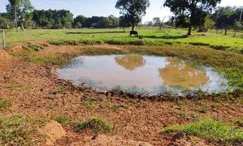 Imagem 2: 33 hectares. Boa de Agua. Terenos MS