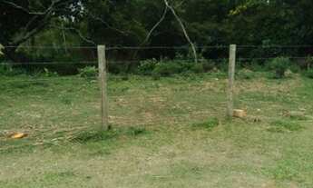 Imagem 6: Terreno em Imbituba