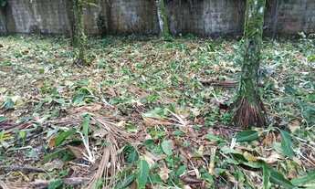 Imagem 3: Terreno em Camburi