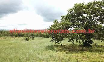 Imagem 7: Sítio meio alqueire - com energia instalada e poço artesiano