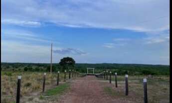 Imagem 7: SÍTIO 40 HECTARES