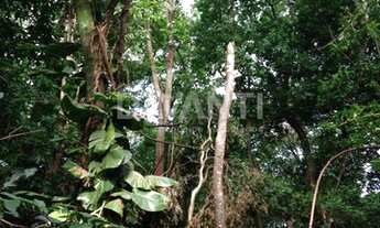 Imagem 6: Terreno - Jardim Santana - Campinas