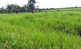 Imagem 4: 175 hectares pronta por R$1.3 milhões de reais há 100 km de Belém