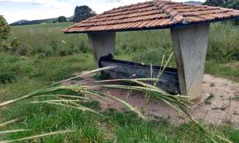 Imagem: Fazenda 180 Alqueires m vídeo nort