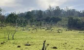 Imagem 5: CAMPO BOM - Terreno Padrão - Quatro Colonias
