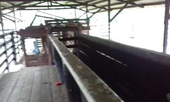 Imagem 3: 175 hectares pronta por R$1.3 milhões de reais há 100 km de Belém