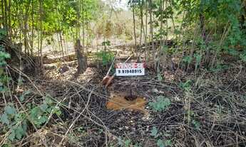 Imagem 4: Lote Garavelo Sul