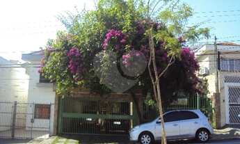 Imagem: Comercial-São Paulo-VILA MATILDE