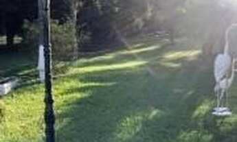 Imagem: Terrenos em Ibiúna com Fácil Acesso a