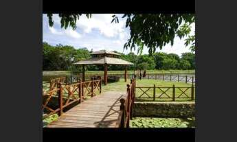 Imagem 5: LOTES TERRA BRASILIS - BOTANICO