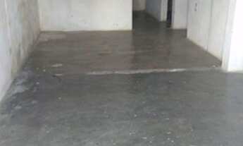 Imagem: Aluga-se casa