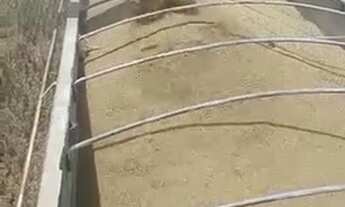 Imagem 3: 501 Alqs Arrendamento Disponivel Pra Soja Conceição do Araguaia PA