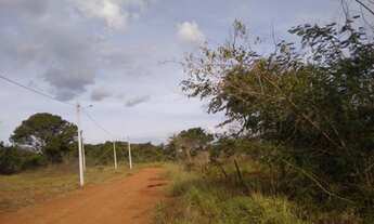 Imagem 6: Chácaras em Brazabrantes-GO