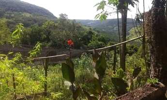 Imagem 3: Vendo Sítio em São Francisco de Paula