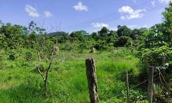 Imagem 3: Vende-se uma chácara proximo a cotrel