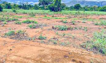 Imagem 7: Fazenda à Venda no Município de Flores de Goiás
