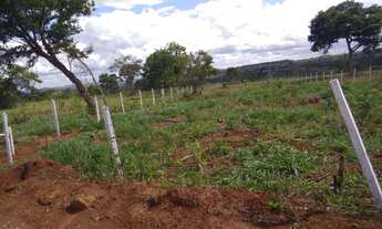 Imagem 7: Chácaras em Brazabrantes-GO