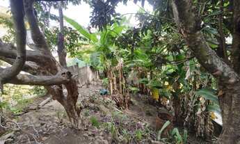 Imagem 5: Casa no Bairro Alto Cai?ara