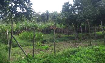 Imagem: Vendo ou troco esse terreno em jambeiro