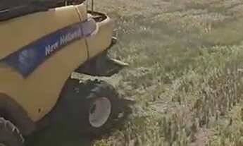 Imagem 5: 501 Alqs Arrendamento Disponivel Pra Soja Conceição do Araguaia PA