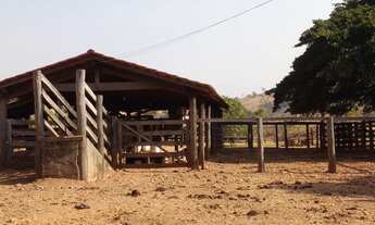 Imagem 3: Fazenda de 65 alqueires em Córrego do ouro-Go