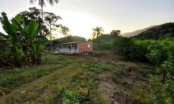 Imagem: Sítio 3,5 alqueires Plano ( Willian Ricardo