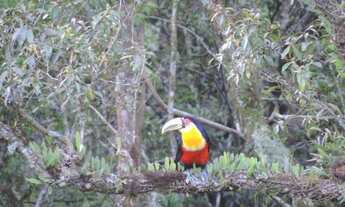 Imagem 3: Sítio em área nobre da Borrussia