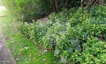 Imagem 2: Maravilhoso terreno no Alpes da Cantareira, segurança 24 horas, com academia