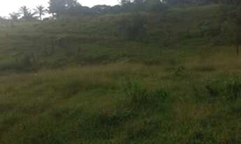 Imagem 2: 70 alqueires Guarantã do norte-MT