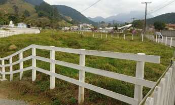 Imagem: Torrando fazendinha 40 hectares Sto Amaro