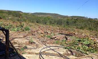 Imagem 4: Chácara em abadiania nova