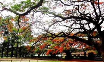 Imagem 3: Terreno - Haras Patente - Monte Alegre do Sul