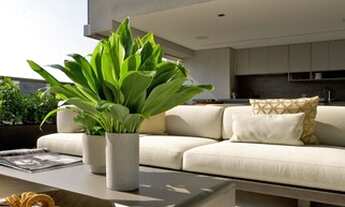 Imagem 3: VENDO Apartamento com 3 dormitórios